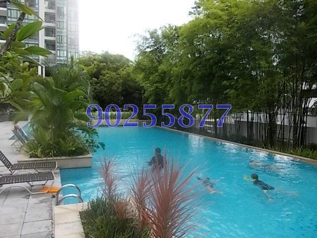 Mandale Heights (D11), Apartment #115318922